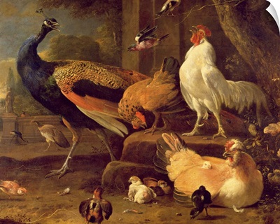 Poultry, c.1670