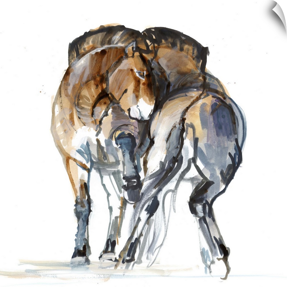 Contemporary artwork of two Mongolian Przewalski horses against a white background.