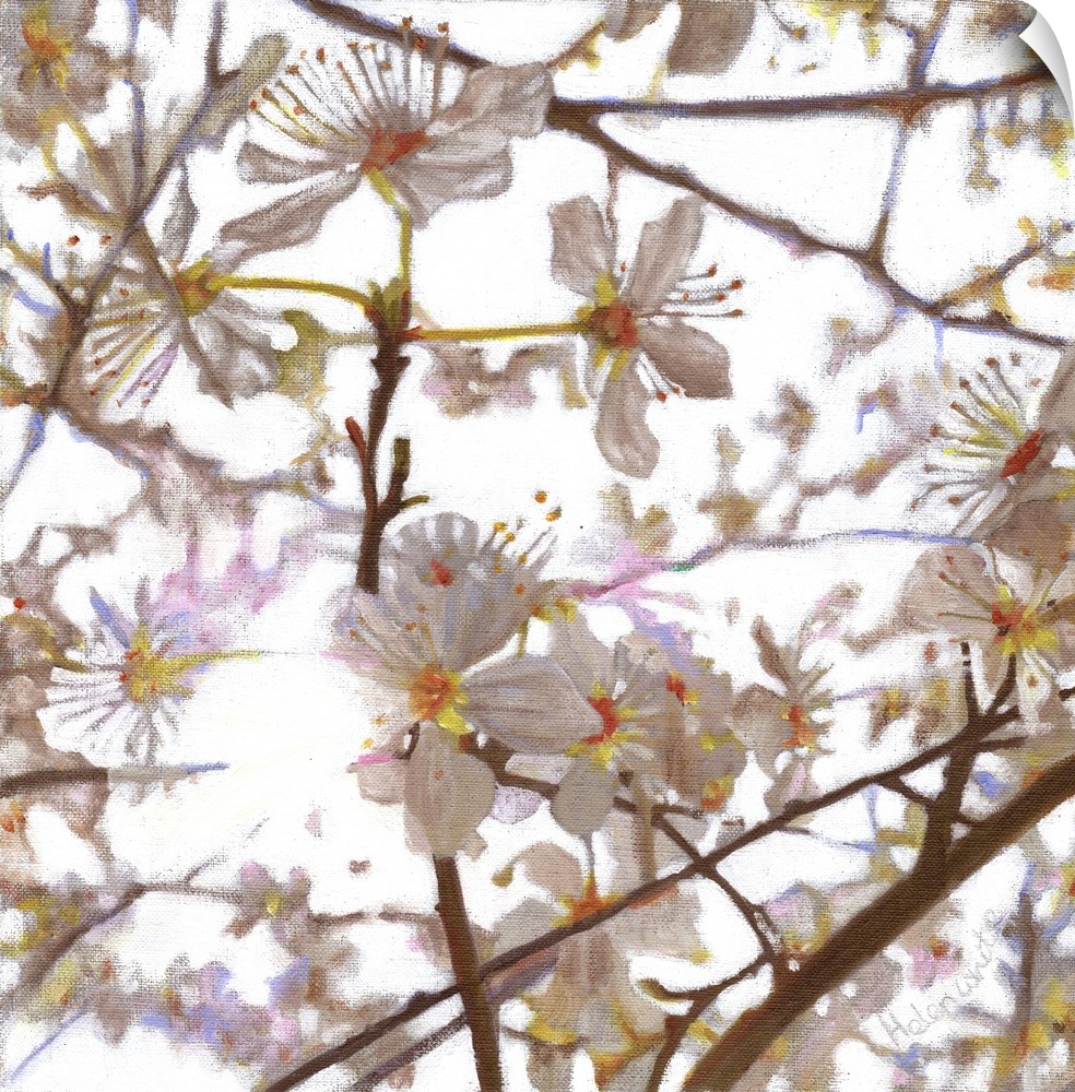 Contemporary painting of white flowers on the branches of a tree.