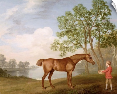 Pumpkin with a Stable-Lad, 1774
