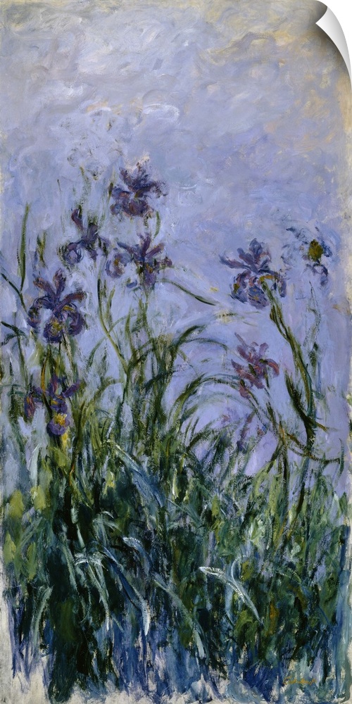 Purple Irises, 1914-17