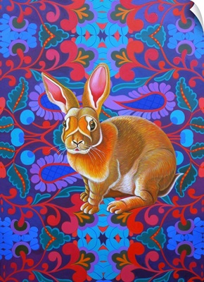 Rabbit, 2014