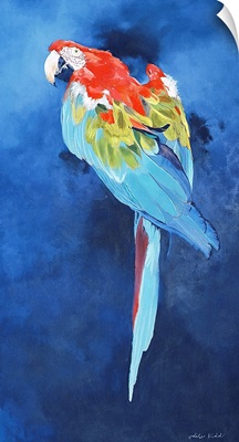 Red and Blue Macaw, 2002