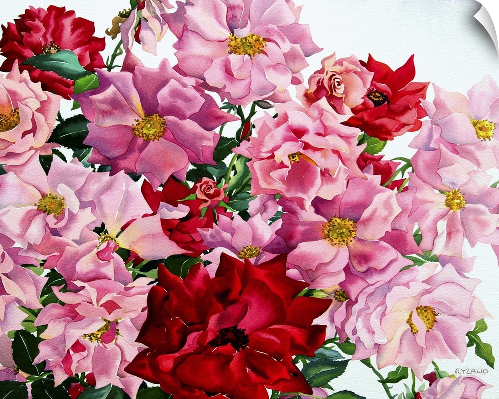 Contemporary painting of a multitude of colorful roses.