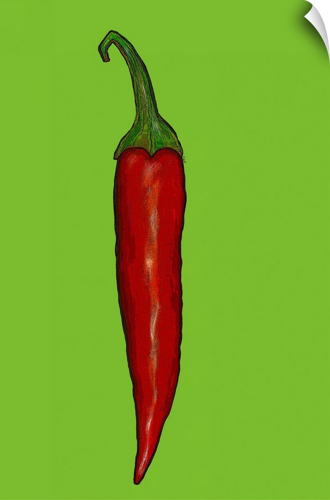 Red hot chilli pepper by Thompson-Engels, Sarah