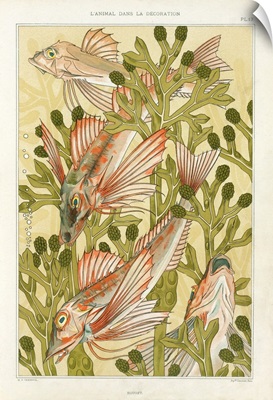 Red Mullet, From 'L'Animal Dans La Decoration' By Maurice Pillard Verneuil, Pub 1897