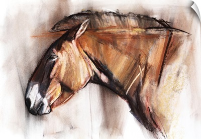 Resting Horse, 2013