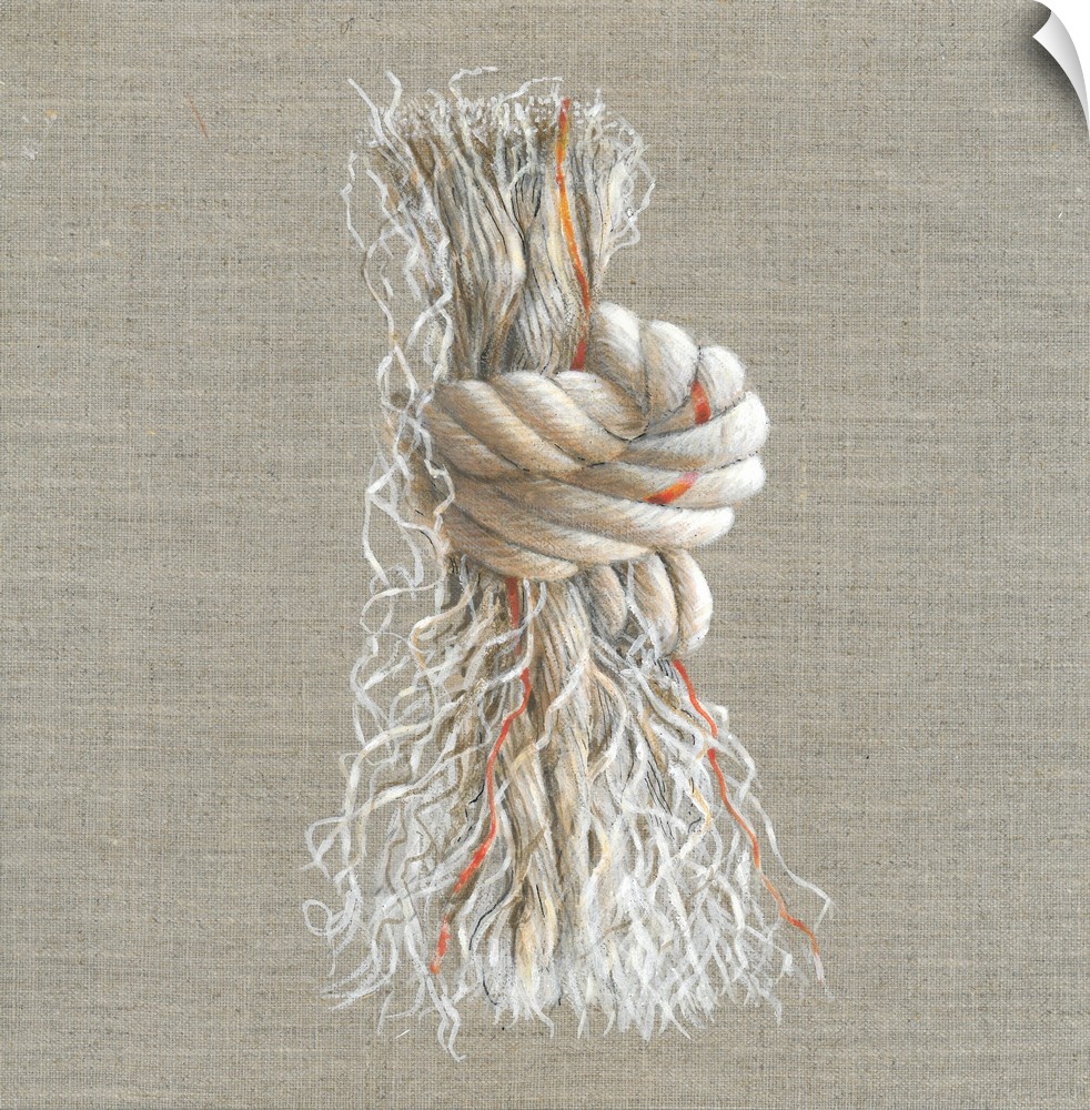 Contemporary painting of a weathered and torn rope with a knot in it.