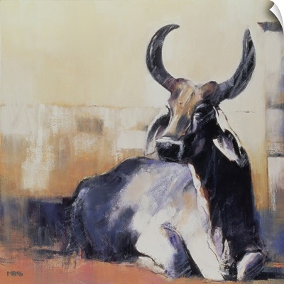Sacred Cow, Bhuj, 1996