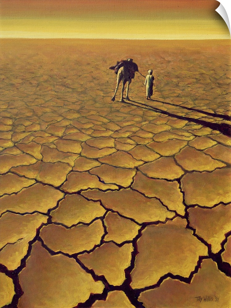 Saharan Journey, 1995