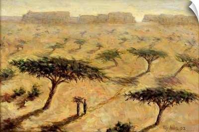 Sahelian Landscape, 2002