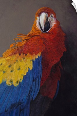 Scarlet Macaw 3 (Detail), 2014