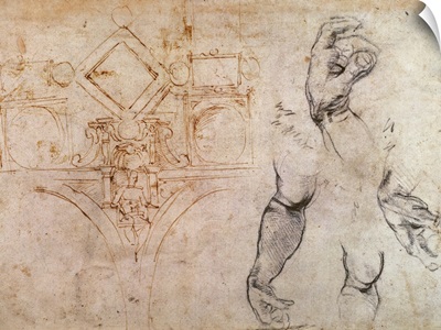 Scheme for the Sistine Chapel Ceiling, c.1508