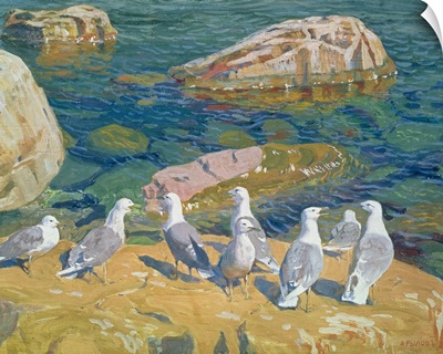 Seagulls, 1910