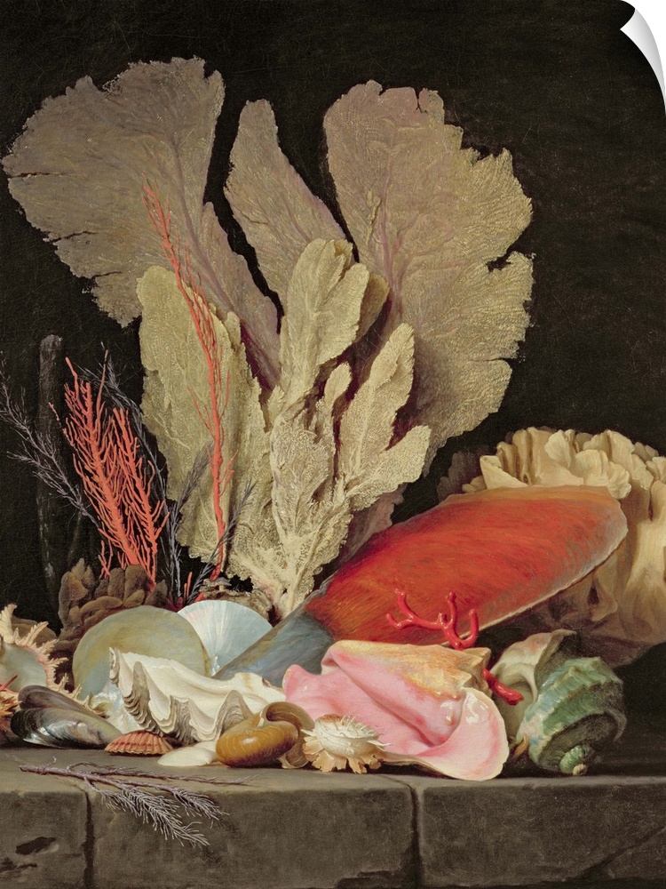 XIR154653 Seaweed, Lithophytes and Seashells (oil on canvas)  by Vallayer-Coster, Anne (1744-1818); Louvre, Paris, France;...