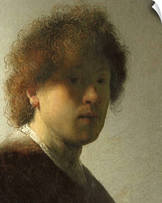 Self Portrait as a Young Man, c.1628