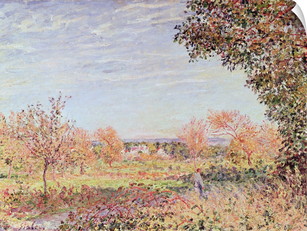 XIR73966 September Morning, c.1887 (oil on canvas); by Sisley, Alfred (1839-99); 55.5x73.5 cm; Musee des Beaux-Arts, Agen,...