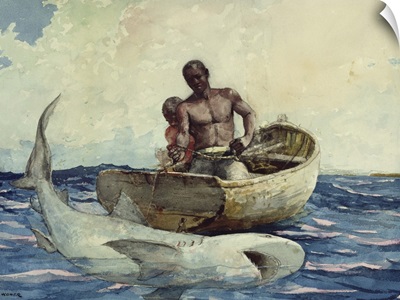 Shark Fishing, 1885