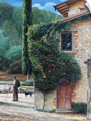 Shepherd, Peralta, Tuscany, 2001