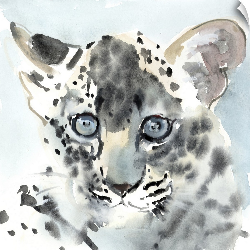 Shy, 2015, (watercolour on paper) by Mark Adlington.