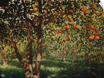Silence Under The Oranges II, 2012
