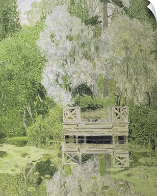 Silver White Willow, 1904
