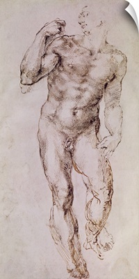 Sketch of David with his Sling, 1503-4