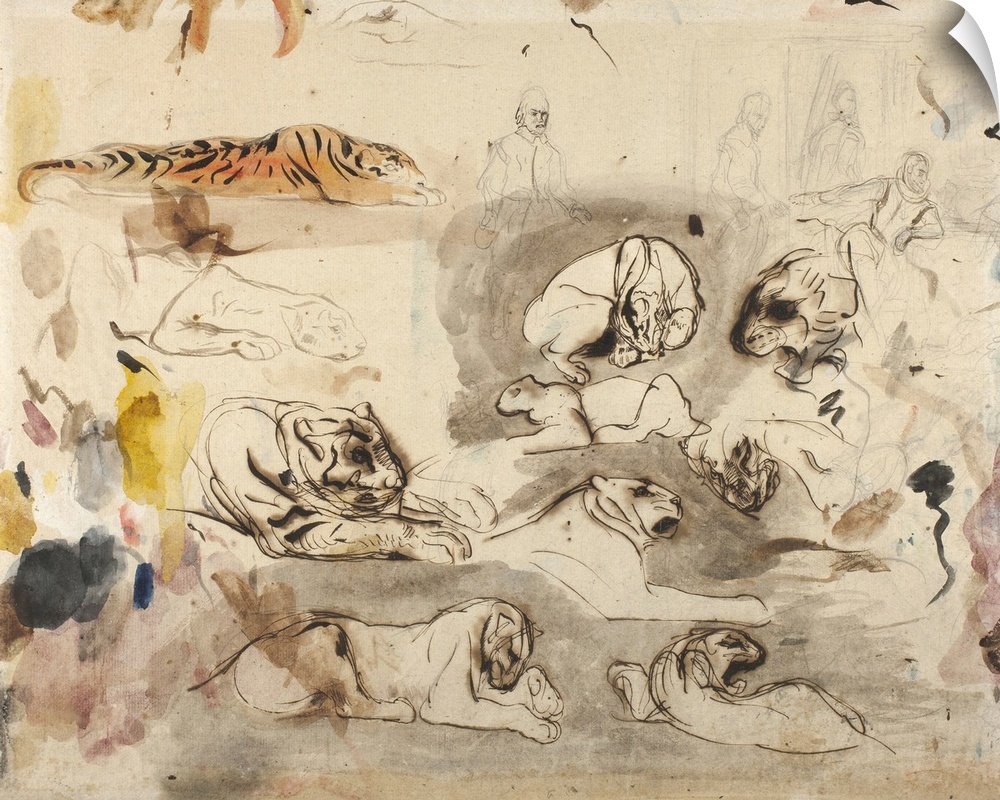 Sketches of tigers and men in 16th century costume, 1828-29, watercolor, pen and ink and graphite on paper.