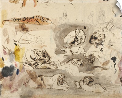 Sketches of tigers and men in 16th century costume, 1828-29