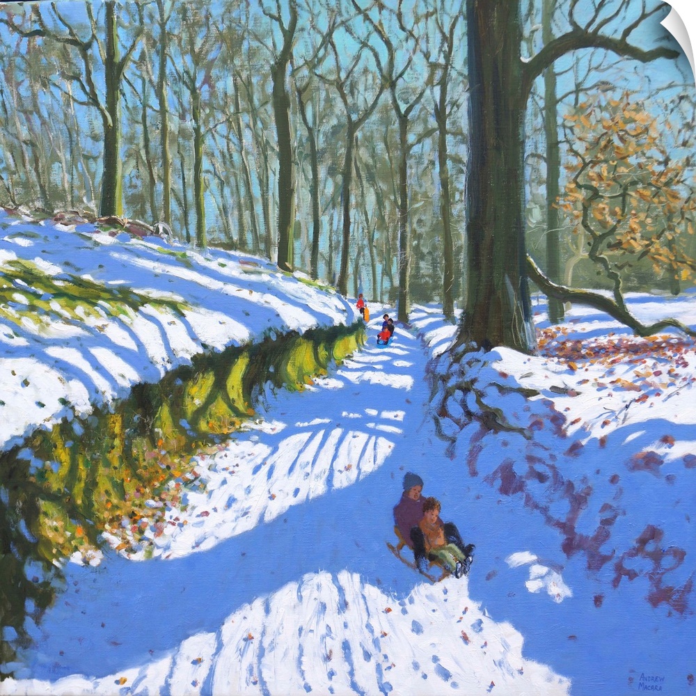 Sledging through the woods, Osmaston Park, Derby, 2018, (originally oil on canvas) by Macara, Andrew