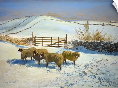 Snow In The Yorkshire Dales