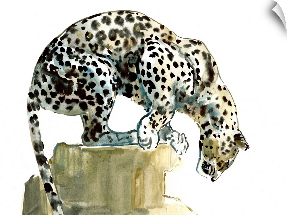 Spine, Arabian Leopard, 2015, watercolour and gouache on paper.  By Mark Adlington.