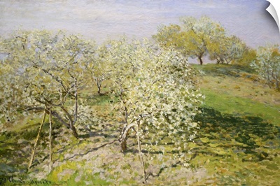 Spring (Fruit Trees In Bloom)