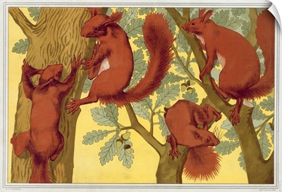 Squirrels, From 'L'Animal Dans La Decoration' By Maurice Pillard Verneuil, Pub 1897