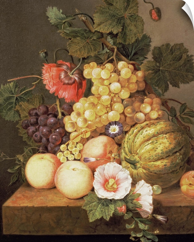 BAL82752 Still life with fruit  by Bruyn, Johannes Cornelis (1743-1830); oil on canvas; 58.4x47 cm; Private Collection; Du...