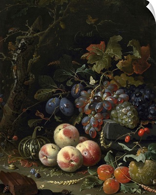 Still Life with Fruit, Foliage and Insects, c.1669