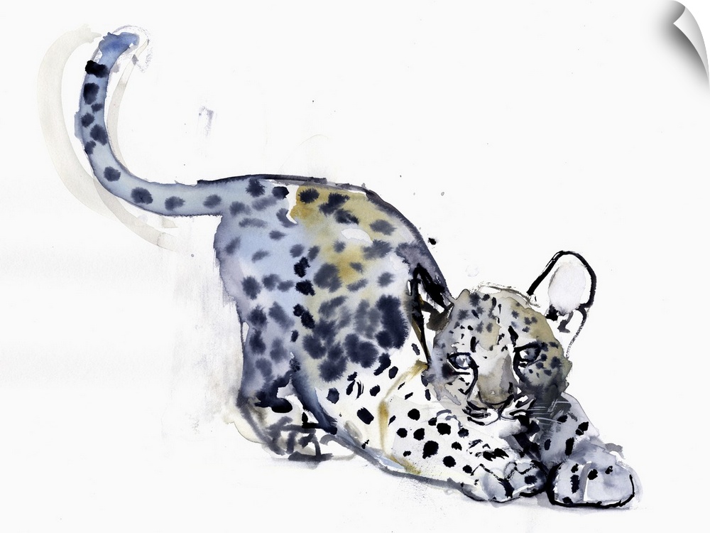 Contemporary wildlife painting of an Arabian Leopard cub.