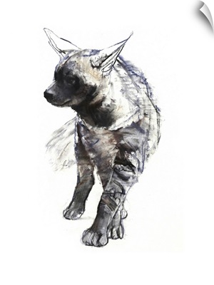 Striped Hyaena Pup, 2010