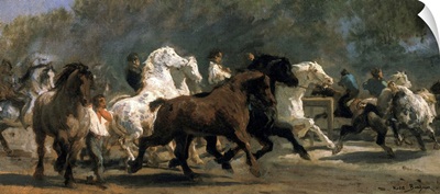 Study for the Horsemarket, 1900