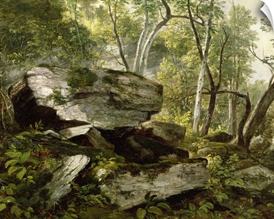 Study from Nature: Rocks and Trees, c.1856