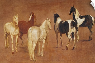Study of Five Horses