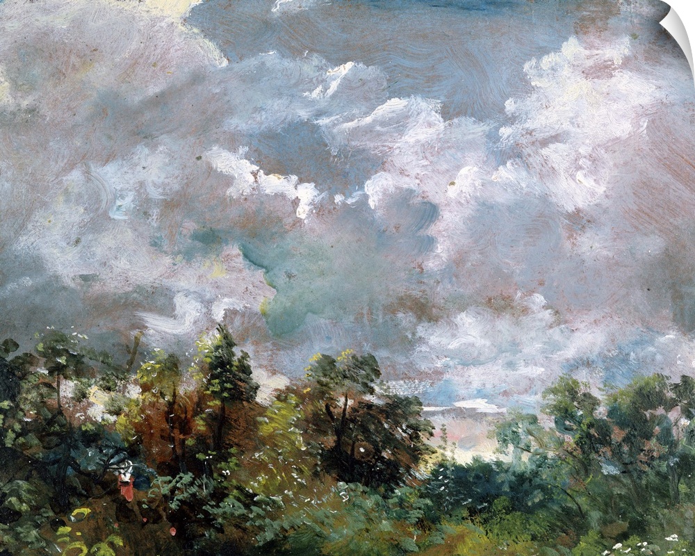 Credit: Study of Sky and Trees (oil on canvas) by John Constable (1776-1837)Victoria