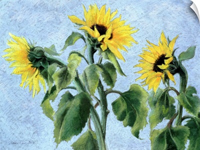 Sunflowers, 1996
