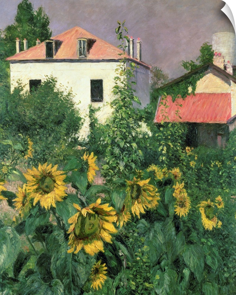 BRM159280 Sunflowers in the Garden at Petit Gennevilliers (oil on canvas) by Caillebotte, Gustave (1848-94); Private Colle...