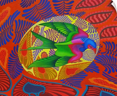 Swallow-Tailed Kite, 2012