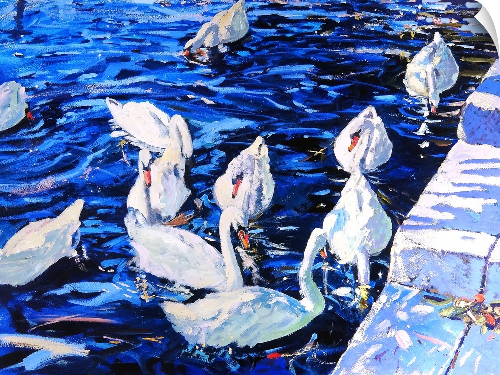 Swans, 2000, originally gouache on board.
