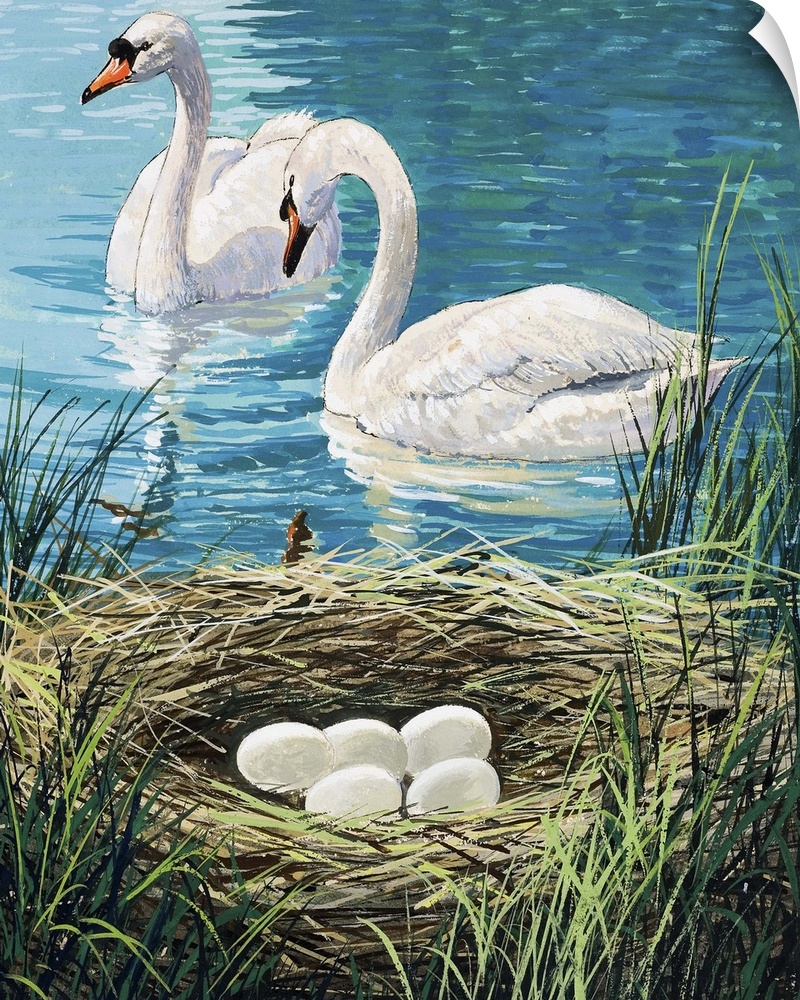 Swan's Nest. Original artwork for "Once Upon a Time," issue 23.