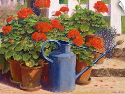 The blue watering can, 1995