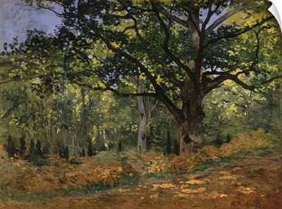 The Bodmer Oak, Fontainebleau Forest, 1865