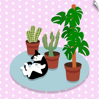 The Cat And The Cacti